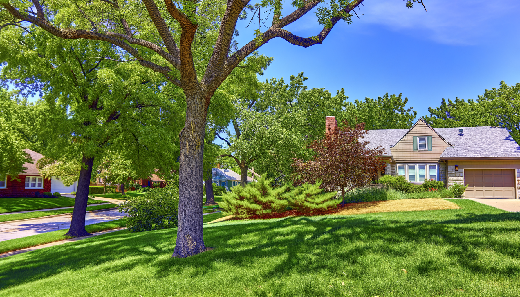 Kansas City tree care trends - 2024 Tree Care Trends in Kansas City | Grade A Tree Care Kansas City