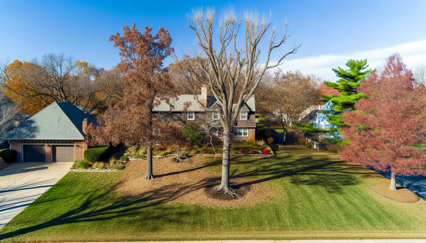Kansas City fall tree hazards - Avoid Common Fall Tree Hazards in Kansas City | Grade A Tree Care Kansas City