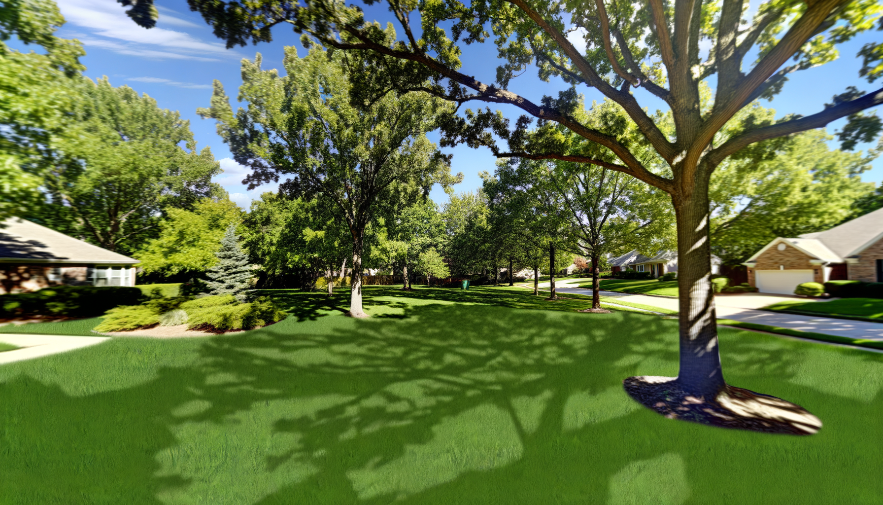 tree moisture management - Effective Tree Moisture Management in Kansas City | Grade A Tree Care Kansas City