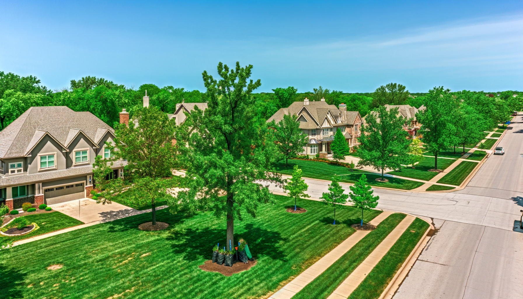tree planting for air quality - Enhance Kansas City Air Quality with Trees | Grade A Tree Care Kansas City