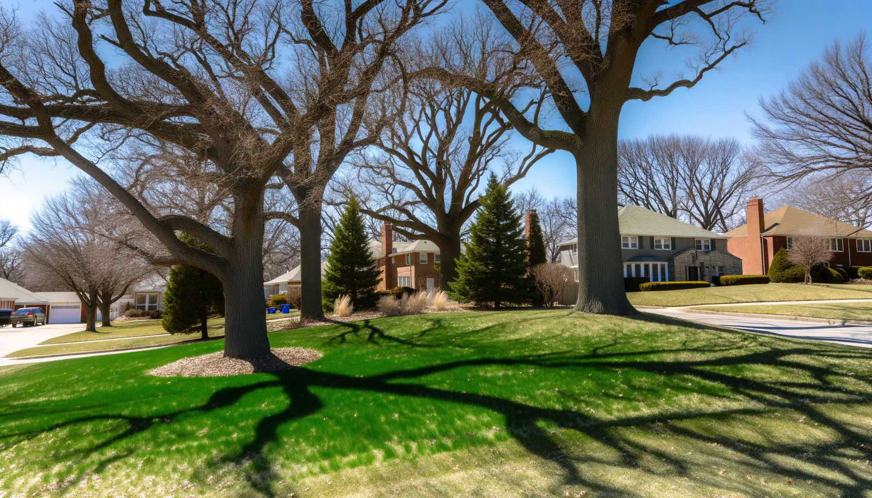 Kansas City Tree Care Innovations - Future of Tree Care: Innovations in Kansas City | Grade A Tree Care Kansas City