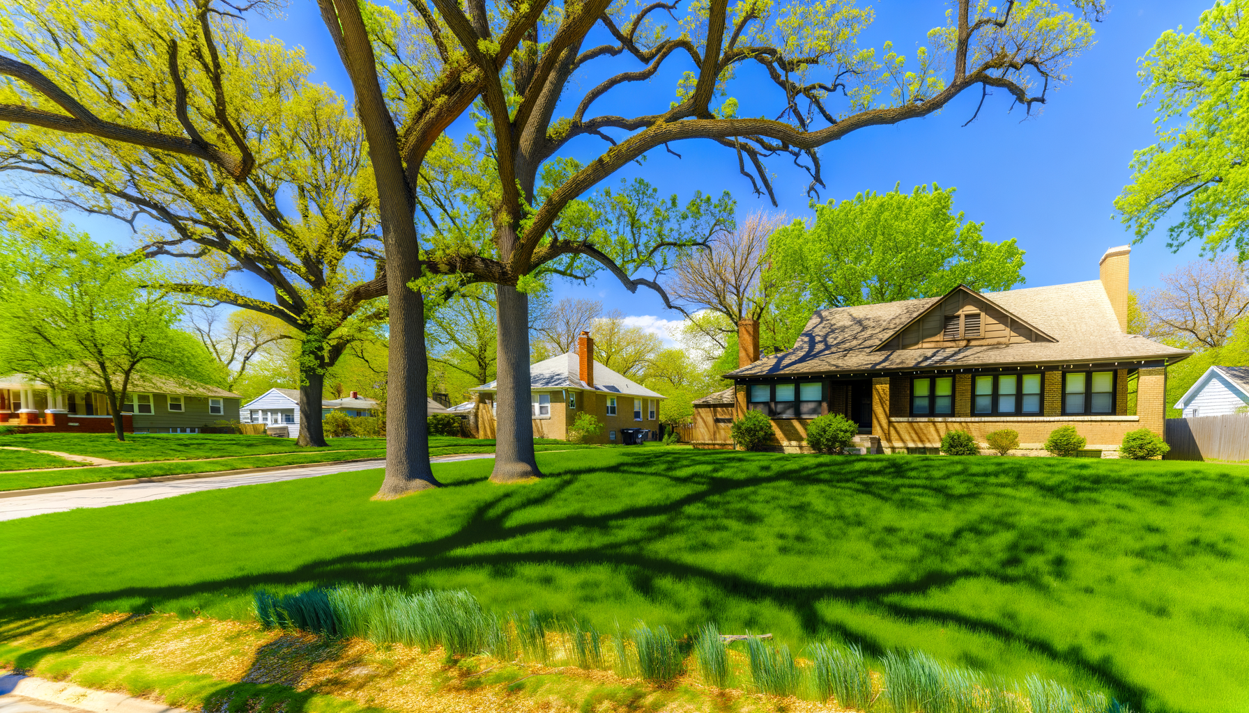 maximizing tree shade kansas city - Maximizing Tree Shade in Kansas City | Grade A Tree Care Kansas City