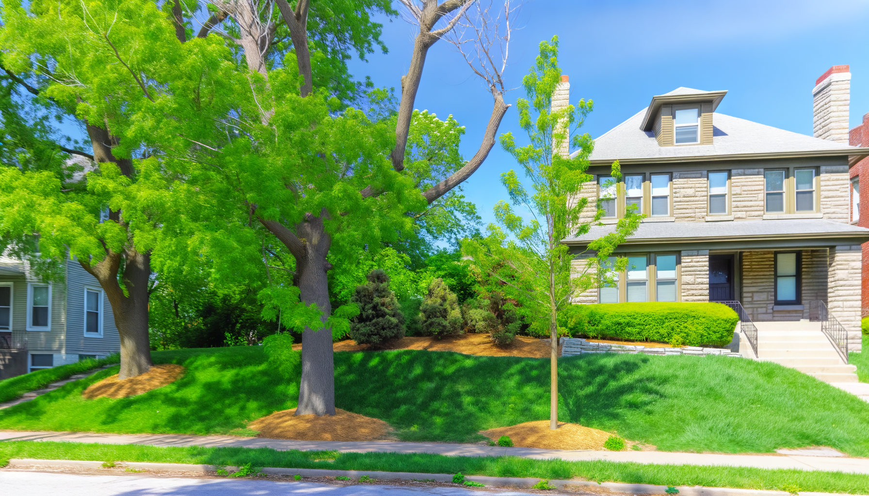 tree planting challenges - Overcoming Tree Planting Challenges in KC | Grade A Tree Care Kansas City