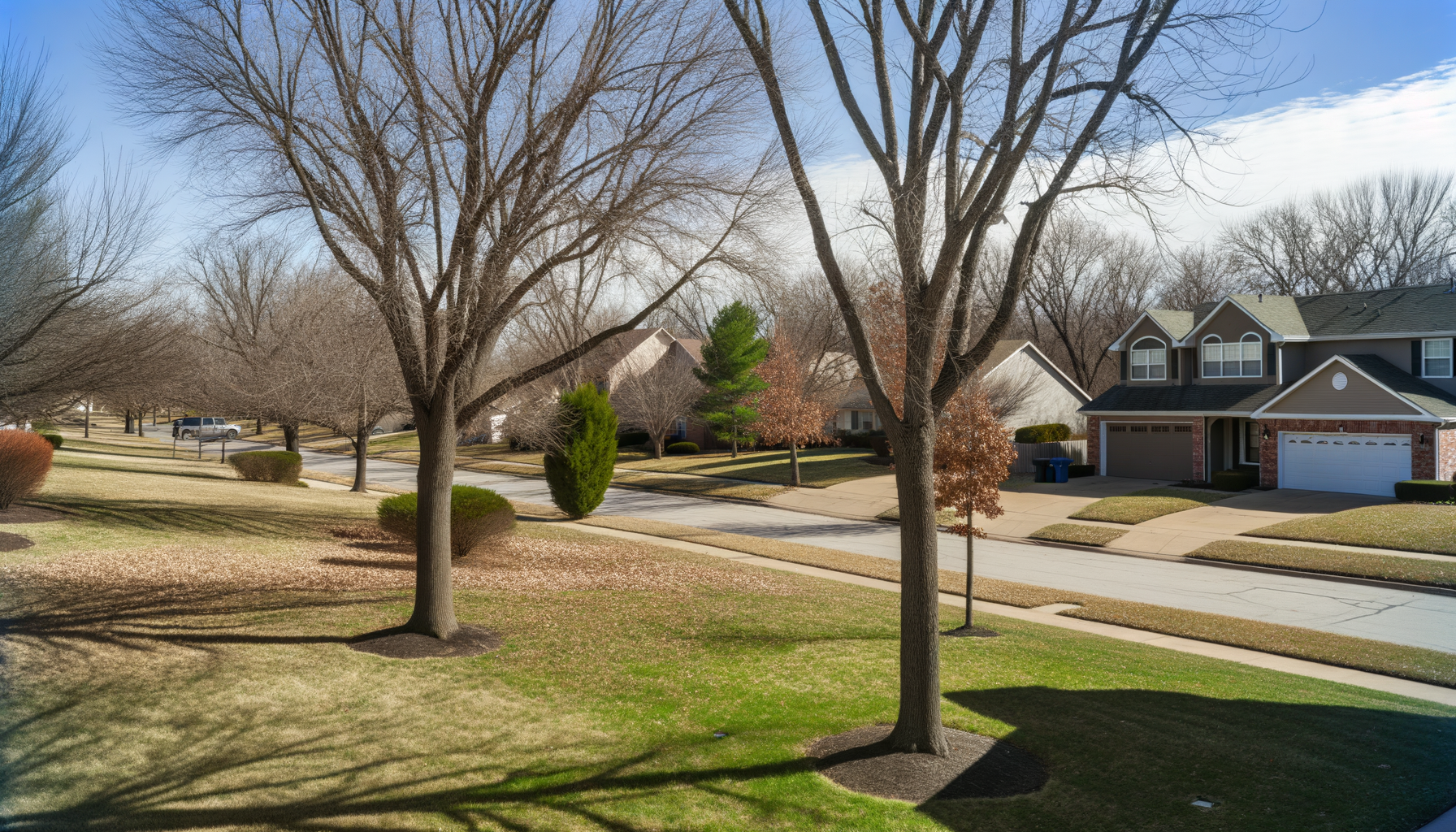seasonal benefits of tree trimming - Seasonal Benefits of Tree Trimming in KC | Grade A Tree Care Kansas City