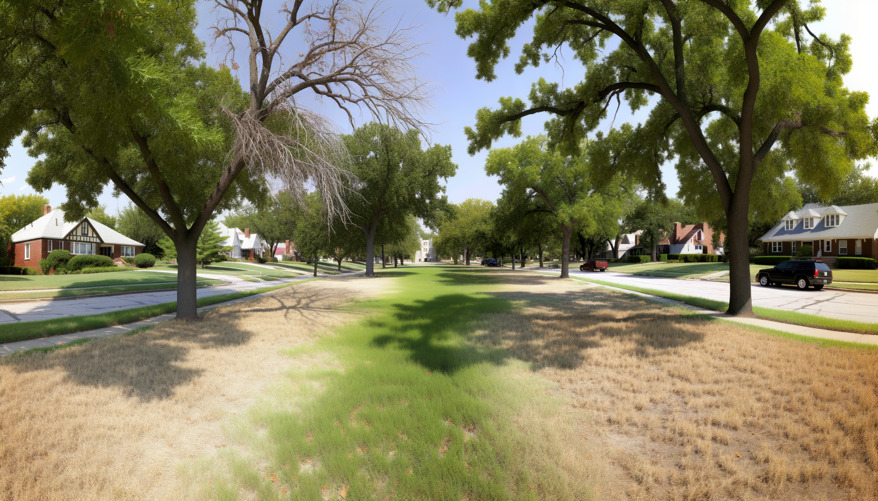 tree care during drought - Tree Care Tips for Kansas City Droughts | Grade A Tree Care Kansas City