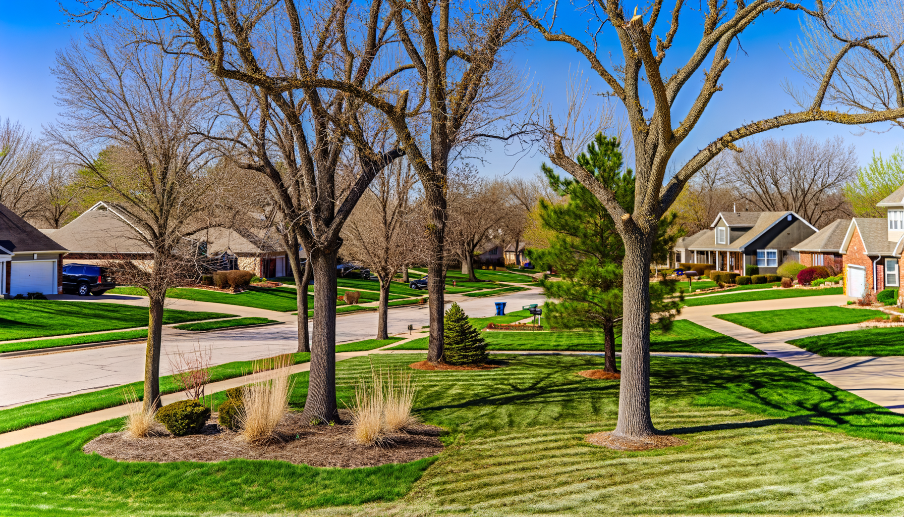 tree care for pet owners - Tree Care Tips for Kansas City Pet Owners | Grade A Tree Care Kansas City