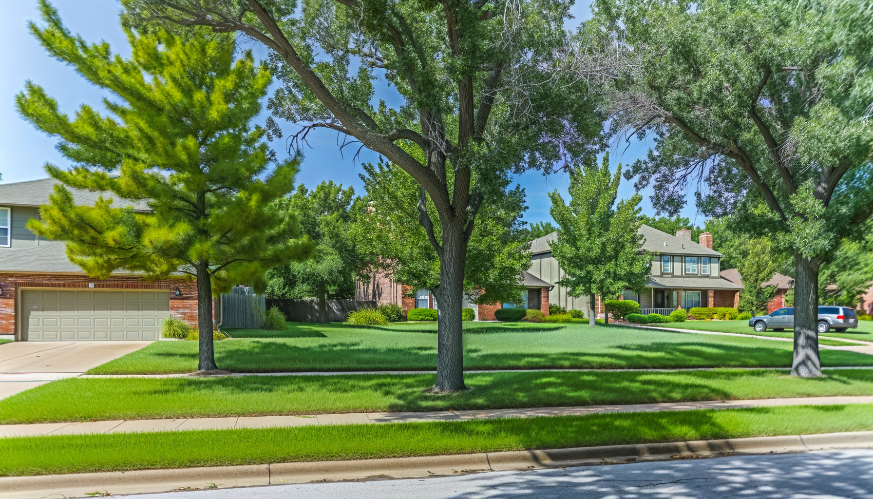 Kansas City Tree Lightning Protection - Tree Lightning Protection Tips for KC | Grade A Tree Care Kansas City