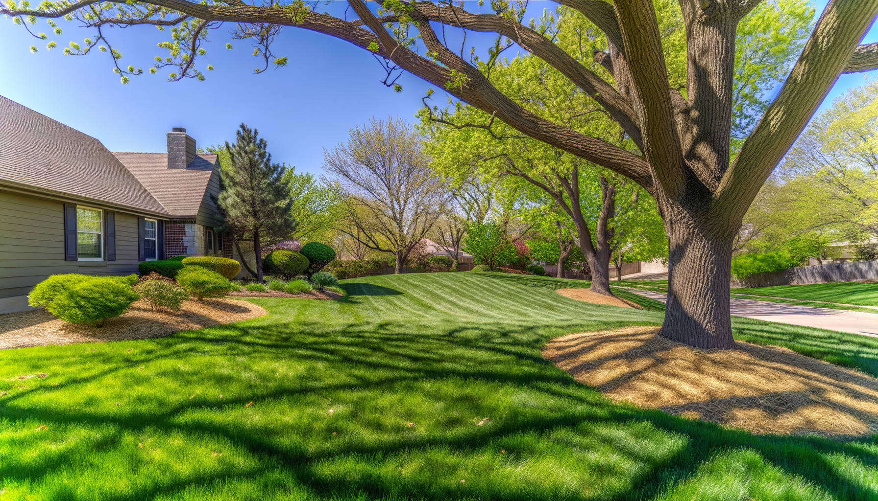 tree safety tips kansas city - Tree Safety Tips for Kansas City Residents | Grade A Tree Care Kansas City