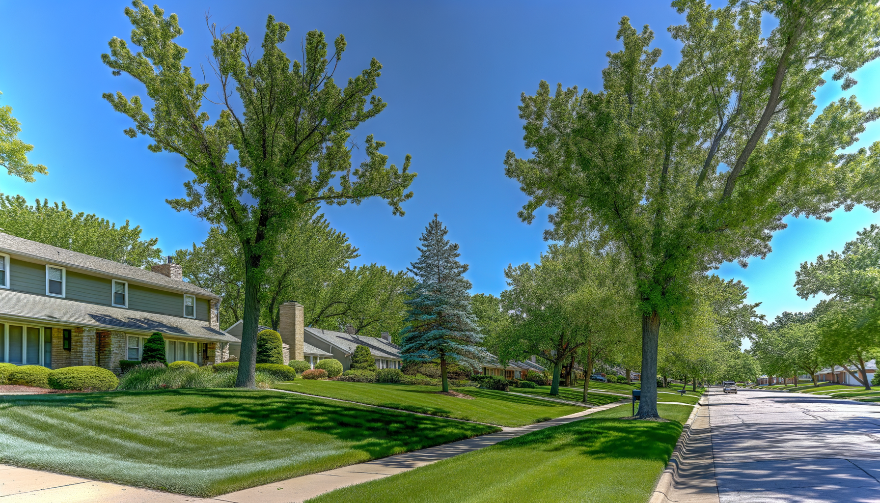 impact of urban development on trees - Urban Development Impact on KC Trees | Grade A Tree Care Kansas City